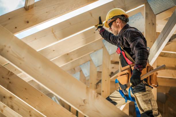Best Roof Gutter Cleaning  in Dent, OH